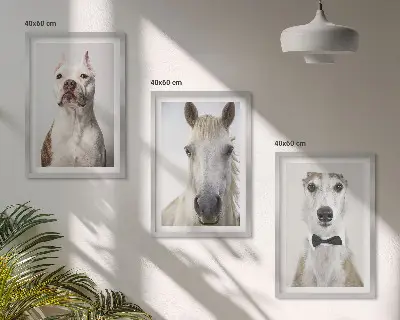 Set de tablouri pentru dormitor cu portrete elegante de câini și cai