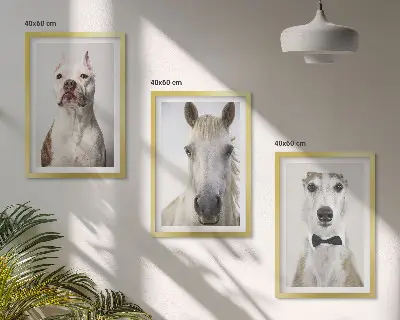 Set de tablouri pentru dormitor cu portrete elegante de câini și cai