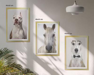 Set tablouri pentru dormitor Portrete elegante de câini și cai