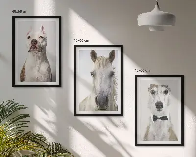 Set de tablouri pentru dormitor cu portrete elegante de câini și cai
