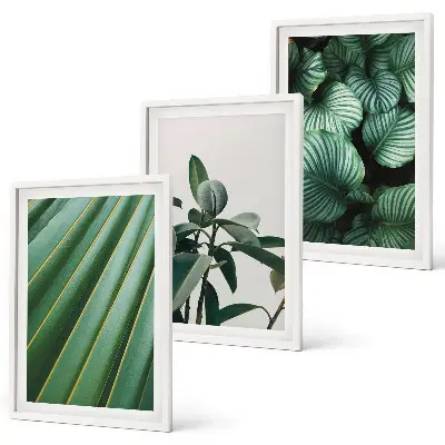 Set de tablouri decorative cu model de frunze tropicale estetice