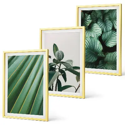 Set de tablouri decorative cu model de frunze tropicale estetice