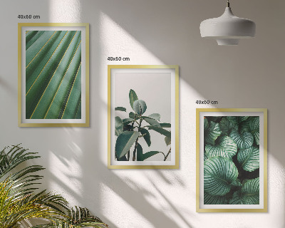Set tablouri decorative Frunze tropicale estetice