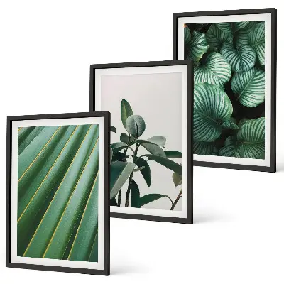Set de tablouri decorative cu model de frunze tropicale estetice