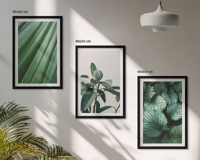 Set tablouri decorative Frunze tropicale estetice
