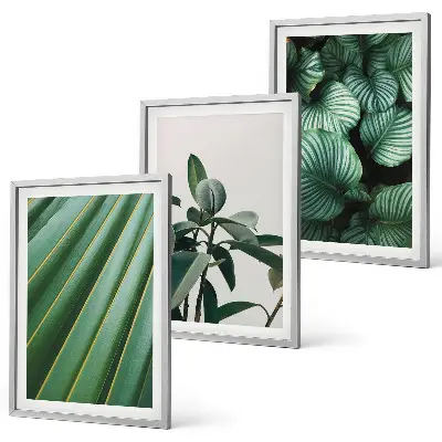 Set de tablouri decorative cu model de frunze tropicale estetice