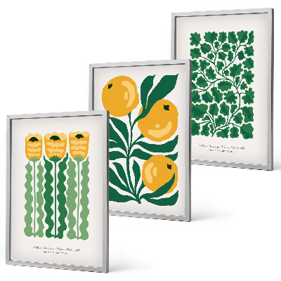 Set tablouri decorative Modele de plante, flori, frunze