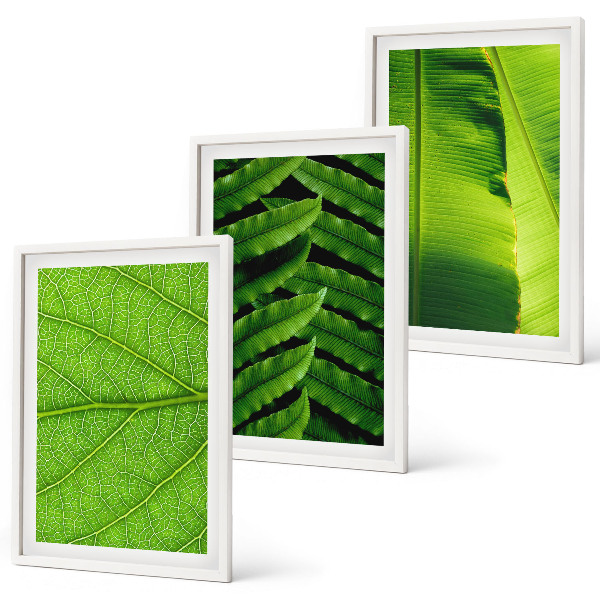 Set tablouri pentru dormitor Fotografie macro cu frunze tropicale