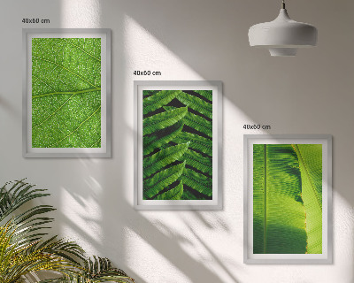 Set tablouri pentru dormitor Fotografie macro cu frunze tropicale