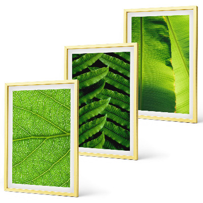 Set tablouri pentru dormitor Fotografie macro cu frunze tropicale