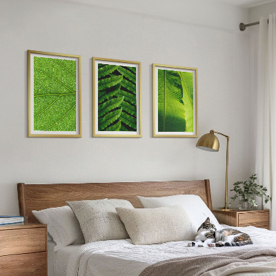 Set tablouri pentru dormitor Fotografie macro cu frunze tropicale