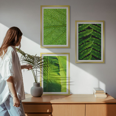 Set tablouri pentru dormitor Fotografie macro cu frunze tropicale