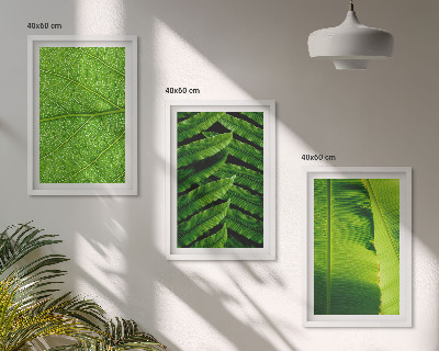 Set tablouri pentru dormitor Fotografie macro cu frunze tropicale