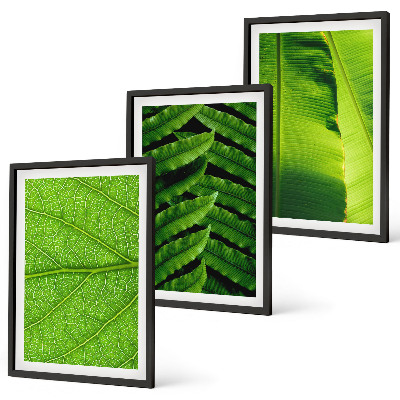 Set tablouri pentru dormitor Fotografie macro cu frunze tropicale