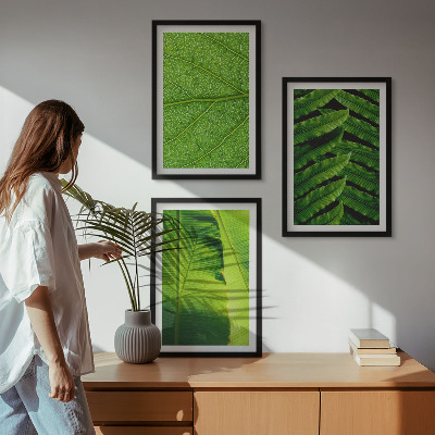 Set tablouri pentru dormitor Fotografie macro cu frunze tropicale