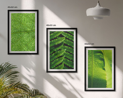 Set tablouri pentru dormitor Fotografie macro cu frunze tropicale
