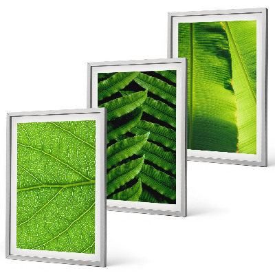 Set tablouri pentru dormitor Fotografie macro cu frunze tropicale