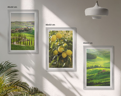 Set tablouri decorative Citrice și dealuri italiene