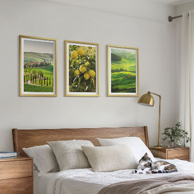 Set tablouri decorative Citrice și dealuri italiene