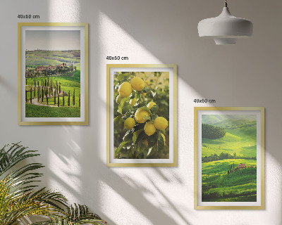 Set tablouri decorative Citrice și dealuri italiene