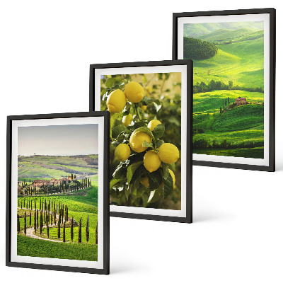 Set tablouri decorative Citrice și dealuri italiene
