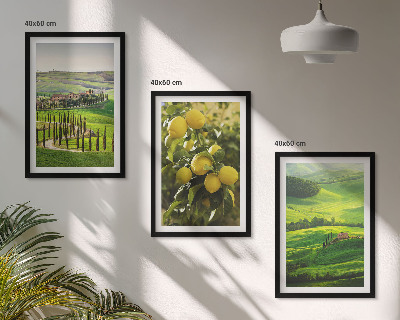 Set tablouri decorative Citrice și dealuri italiene