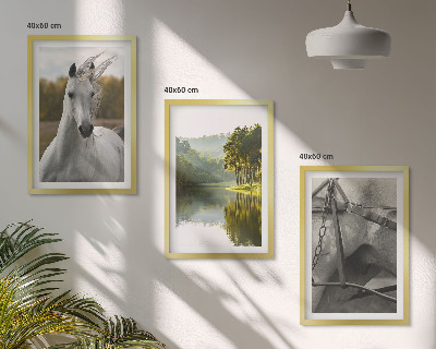 Set tablouri decorative Cai albi râu natură