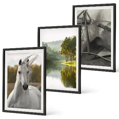 Set tablouri decorative cu cai albi pe râu în natură