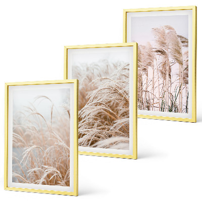 Set tablouri decorative Câmpuri de iarbă în maro și bej