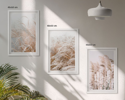 Set tablouri decorative Câmpuri de iarbă în maro și bej