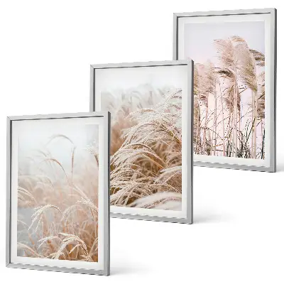 Set tablouri decorative câmpuri de iarbă în nuanțe de maro și bej