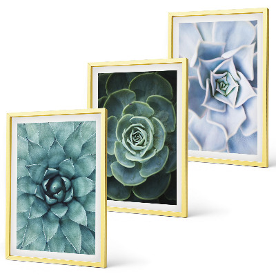 Set tablouri decorative Plante suculente verde turcoaz