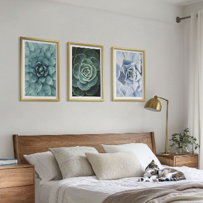 Set tablouri decorative Plante suculente verde turcoaz
