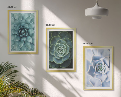 Set tablouri decorative Plante suculente verde turcoaz