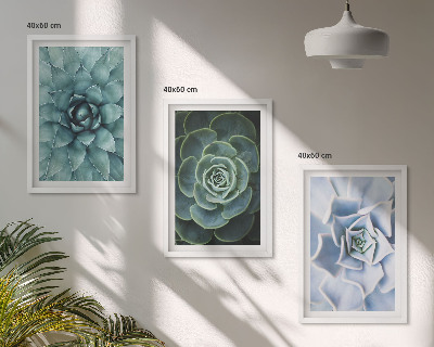 Set tablouri decorative Plante suculente verde turcoaz