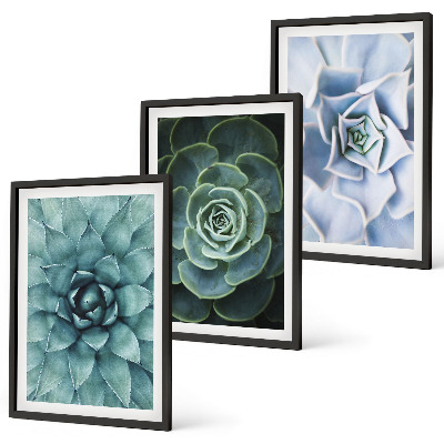 Set tablouri decorative Plante suculente verde turcoaz