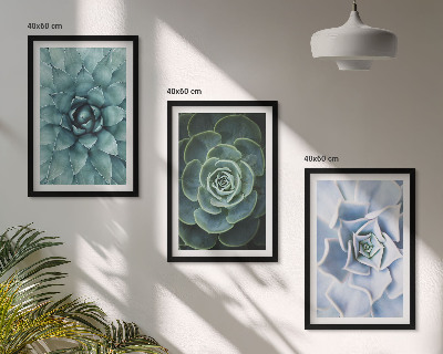 Set tablouri decorative Plante suculente verde turcoaz