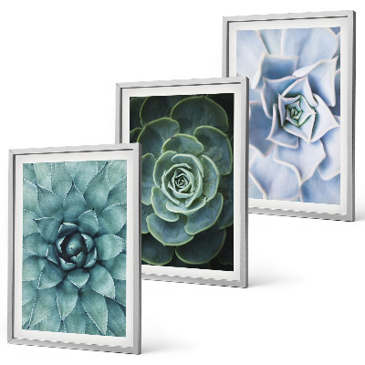 Set tablouri decorative Plante suculente verde turcoaz