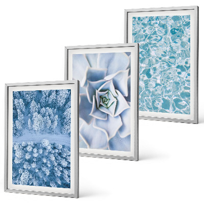 Set tablouri decorative Apă de flori albastre de pădure de iarnă