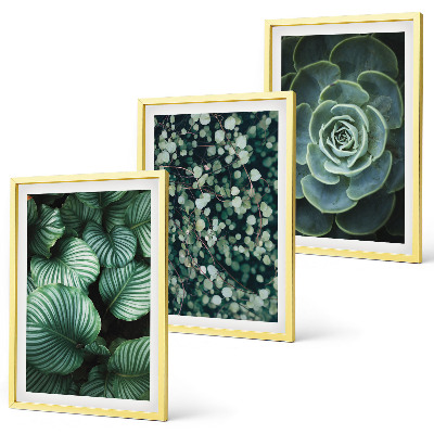Set tablouri decorative Stilul suculentelor cu frunze verzi
