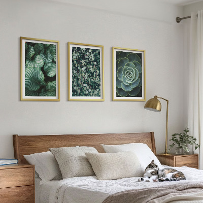 Set tablouri decorative Stilul suculentelor cu frunze verzi