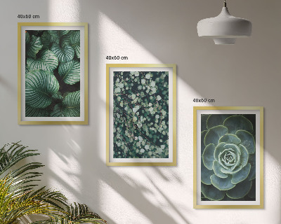 Set tablouri decorative Stilul suculentelor cu frunze verzi