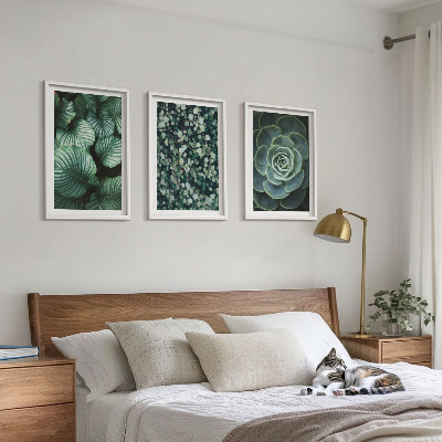 Set tablouri decorative Stilul suculentelor cu frunze verzi
