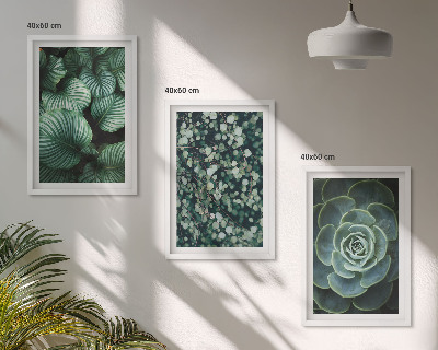 Set tablouri decorative Stilul suculentelor cu frunze verzi
