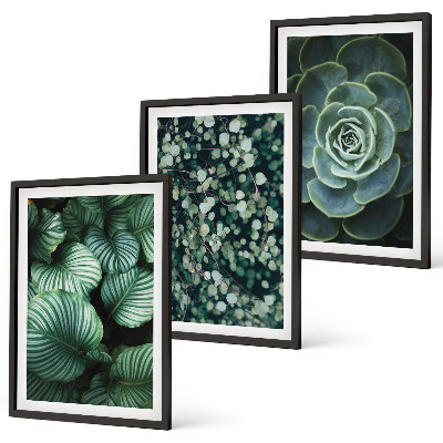 Set tablouri decorative Stilul suculentelor cu frunze verzi