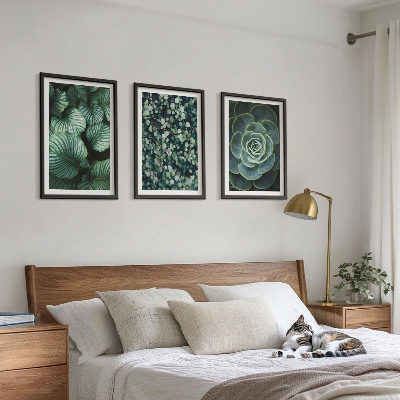 Set tablouri decorative Stilul suculentelor cu frunze verzi