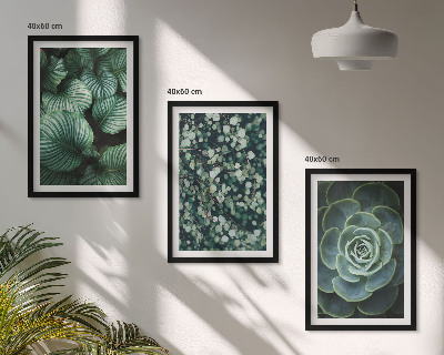 Set tablouri decorative Stilul suculentelor cu frunze verzi