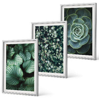 Set tablouri decorative Stilul suculentelor cu frunze verzi