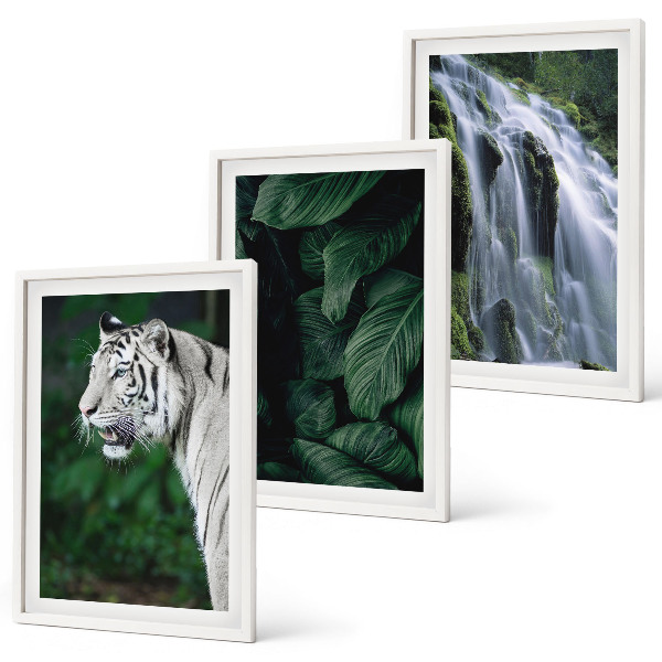 Set tablouri decorative Cascada cu frunze de tigru alb