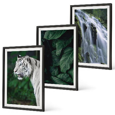 Set tablouri decorative Cascada cu frunze de tigru alb
